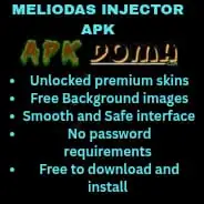 Meliodas Injector