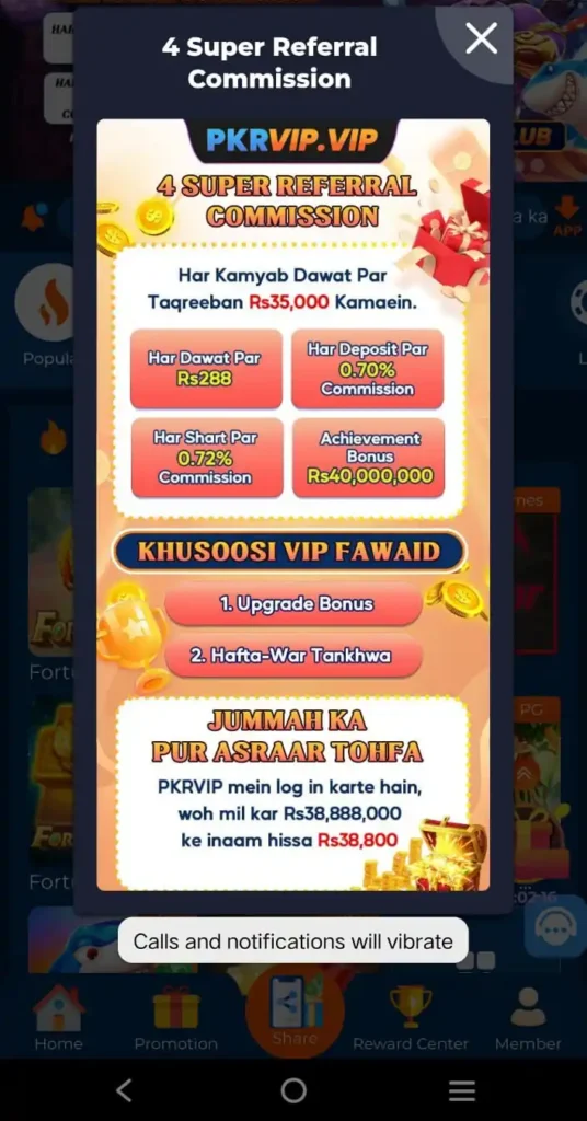 Pkr Vip
